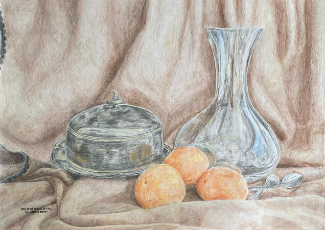 Bodegón de dibujo CBC